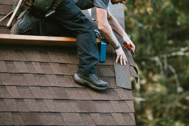 Best Roof Gutter Cleaning  in Kathleen, FL